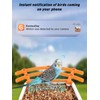 Smart Bird Feeder Camera with AI Identify Bird Species, Wild