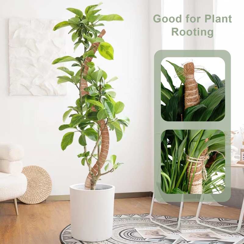 60 Inch Moss Pole, Bendable Moss Pole for Plants Monstera,