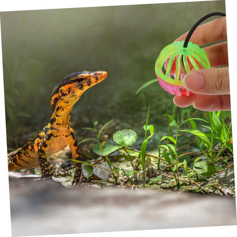 Sosoport Compact Reptile Bell Balls 7 Pack Sucker Toys for