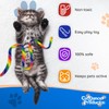 Cat Dancer Products Rainbow Cat Wand Charmer, Safe Teaser Wand