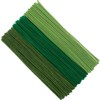 GAGANIU 300pcs Craft Pipe Cleaners, Green Gradient Chenille Stems in