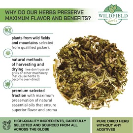 50 Bags Motherwort Tea Dried Motherwort Herb (Leonuri Herba) - 50 Tea Bags 1.5g Leonurus