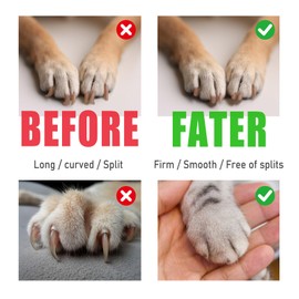 Dog Nail Grinder - 2 Speed Super Quiet and Low Vibration Electric Pet Nail Grinder - Rechargeable Dog Nail Trimmers for Small Dogs- Cat Nail Claw Clippers with 2 Level LED Lighting（Black）