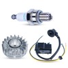 Atunee MS251 11434001307 Flywheel Ignition Coil Kit for Stihl MS231