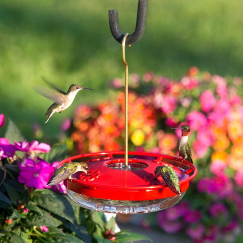 Aspects HummZinger HighView 12 Oz Hanging Hummingbird Feeder - 429,