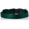LupinePet Basics 3/4" Green 9-14" Adjustable Collar for Small Dogs