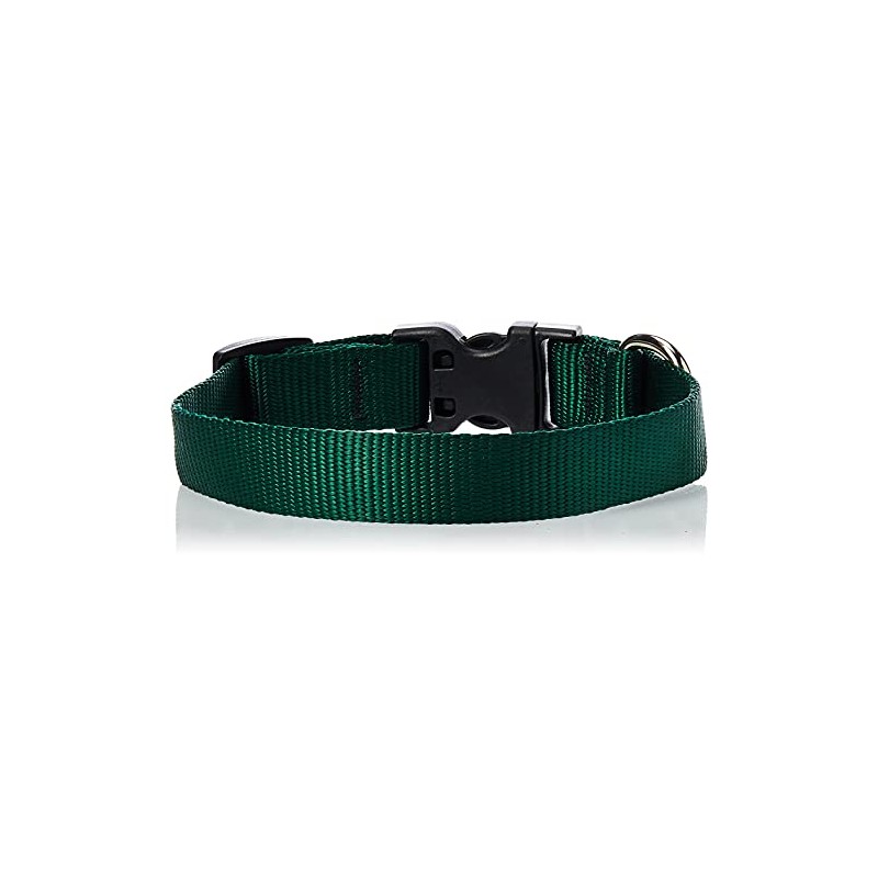 LupinePet Basics 3/4" Green 9-14" Adjustable Collar for Small Dogs