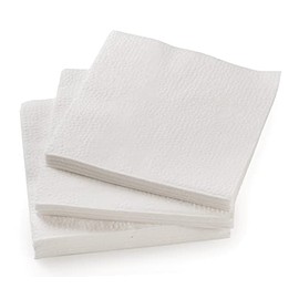 Concession Essentials Paper Lunch Napkin 500 Count. 1 Ply Disposable Lunch Napkins, (CELunchNapkinWhite-500CT)
