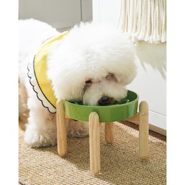LE TAUCI Ceramic Slow Feeder Dog Bowls Elevated for Small and Medium Breed, Dog Bowls with Wooden Stand, 1.5 Cups Pet Dishes to Slow Down Eating, Anti-Gulping Pet Feeding Dishes, Clover Green