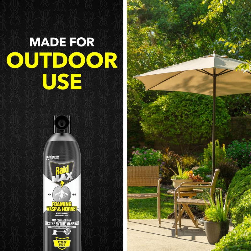 Raid Max Foaming Wasp & Hornet Killer, Fast Coverage Foam,