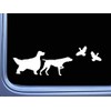 English Setter German Shorthair Pointer with Quail TP 377 vinyl
