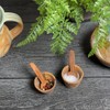 Rustic Olive Wood Salt and Pepper Pinch Pots with Spoons,