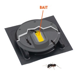 Home Plus Ant Killer Plastic Bait Stations, 4 Count