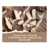 Ari Microchips Jumbo Y Mediano Para Aplicar Extensiones