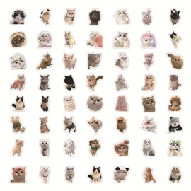 56 PCS Cute Cat Stickers for Kids, Funny Stuff Water Bottle Stickers for Laptop Vinyl Classroom Prize, Things Birthday Gifts Cute Stuff for Boys Girls Adults Teens (Cat)