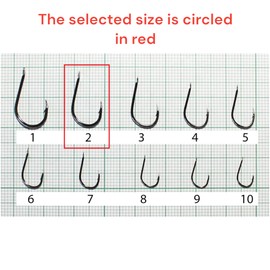 PRO FILSTAR Fishing Hook Set with Leader 10 Pieces, N2 - Tied Hooks with Mono Fishing Line 50 cm, Diameter 0.25 mm - Carp Fishing - Carp Fishing Accessories - Carp Fishing Hooks - Fishing Accessories