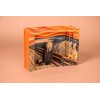 The Scream feat. Cats- 3D Diorama Card- for All Occasions-