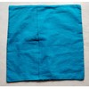 Indian Handmade Cotton Turquoise Kantha Fruit Print Threads Work Cushion