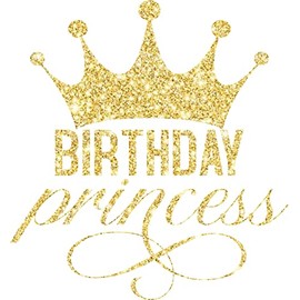 SEC Apparel Princess Iron On Transfers Patches Decals Vinyl Applique for Girls Women T Shirts Fabric Clothing (Birthday Princess 7)
