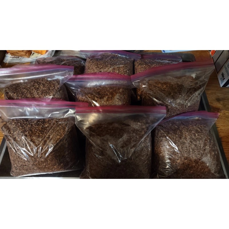 Milkweed Monarchy 2 oz (6k+) Common Milkweed Seeds (Asclepias syriaca),