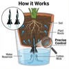 Self Watering Spikes for Indoor Plants - Automatic Plant Watering