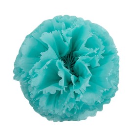 Tissue Paper Squares, Bulk 10 Sheets, Premium Gift Wrap and Art Supplies for Birthdays, Holidays, or Presents by A1BakerySupplies, Small 15 Inch x 20 Inch (Aqua Blue)