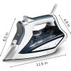 Rowenta Iron Steamer for Clothes Professional 1725-Watts Steam Iron -