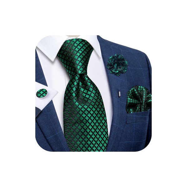 DiBanGu Mens Emerald Green Plaid Tie and Lapel Pin for
