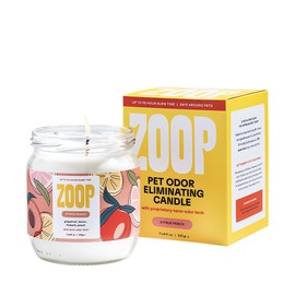 Zoop Pet Odor Eliminating Candle - 100% Natural- Pet Odor Eliminator for Home - Non-Toxic and Eco-Friendly Air Freshening Scented Candles