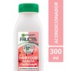 Fructis - Champú Garnier para el cabello Sandia, 300 ml