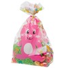 Baker Ross Easter Bunny Cellophane Gift Bags (Pack of 30)