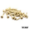 TERF® High Performance Multi Purpose Screw 5.0 X 100mm Torx