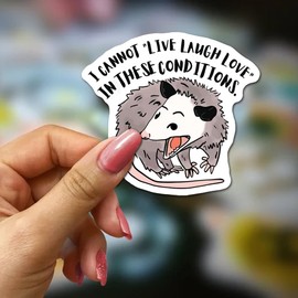 FALIMITLESS I Cannot Live Laugh Love in These Conditions Stickers 3Pcs Funny Opossum Sticker Possum Sarcastic Stickers Vinyl Waterproof Decals for Notebook, Tumbler, Laptop and Water Bottle