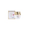 GAINBITCHAEK 가인비책 수 탄력크림 60ml /엑소좀 프리미엄 미백 주름개선 기능성