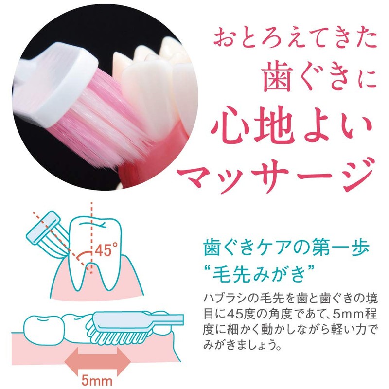 Systemma Haguki Plus Brush Compact Soft