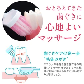 Systemma Haguki Plus Brush Compact Soft