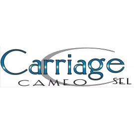 Unbranded Carriage Cameo LXI/SEL  RV Graphic trailer Decal Not Old Stock Made fresh!