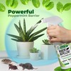 Mighty Mint Peppermint Oil Rodent Repellent Spray – Natural Indoor