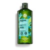 Shampoo, Scalp Shampoo, For Soft, Shiny Hair! Scalp Care Yves