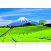 Ochanomaruko Shizuoka Green Tea Bag 0.2 oz (5 g) x