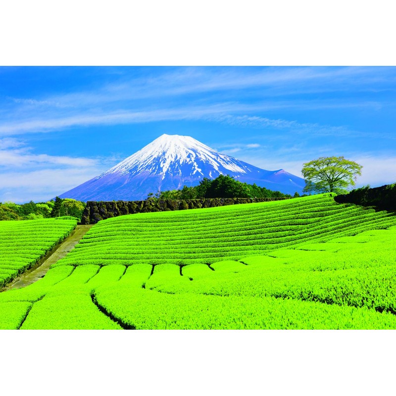 Ochanomaruko Shizuoka Green Tea Bag 0.2 oz (5 g) x