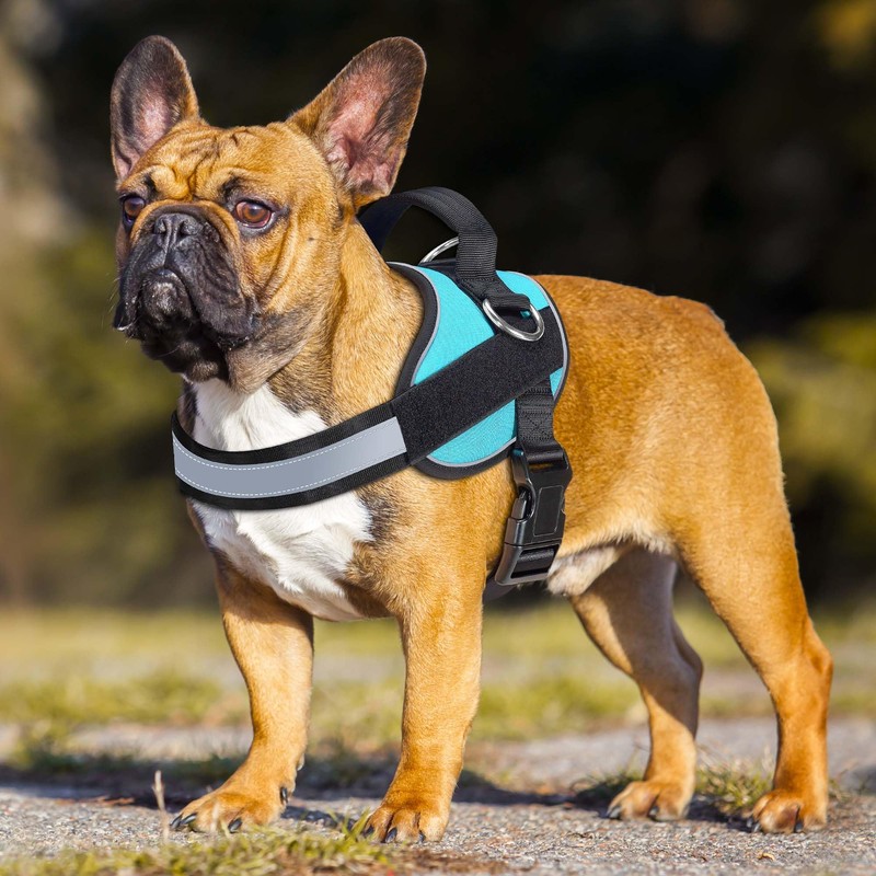 Haapaw Essential Dog Harness, No Pull Pet Vest with 3