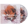 beautifulgarbage (20th Anniversary)[Deluxe 3 CD]