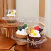 XIZHI Clear Cupcake Boxes with 2 Compartment,Plastic Stackable Cupcake Carrier