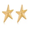 MIJENITI Beach Star Earrings for Women Trendy Gold Stud Earrings