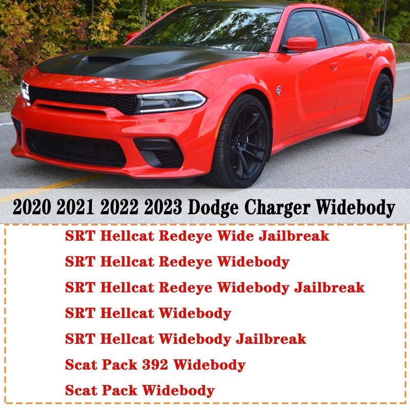 NEESPOC Front Bumper Lip Splitter Spoiler Fit for Dodge Charger