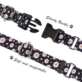 Hikiko Martingale Collar for Dogs with Buckle for Small Medium Large Dogs Soft Nylon Daisy Dog Collars Walking Training（Pure Daisy,Small）