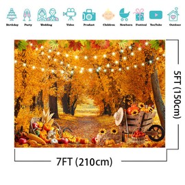 XEYSM 7x5FT Fall Thanksgiving Backdrop Fall Photography Backdrop Autumn Forest Natural Scenery Backdrop Autumn Harvest Thanksgiving Party Backdrop XY94
