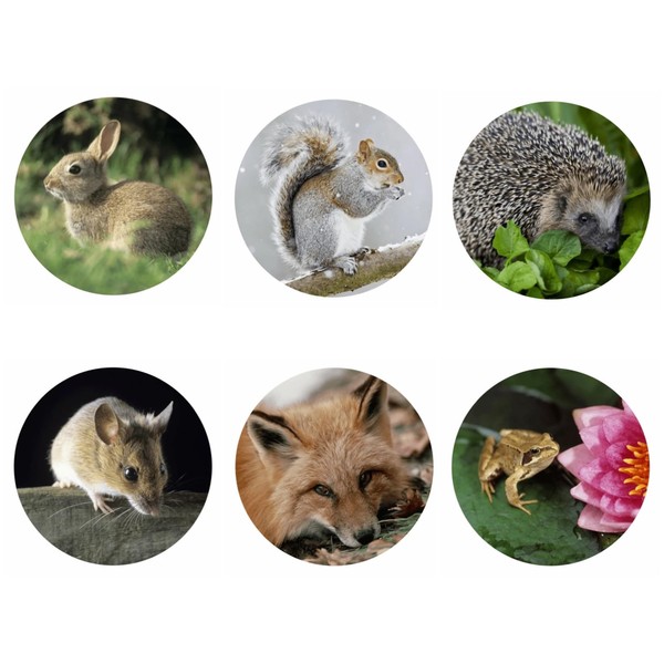 Tier-Aufkleber Set, 108 Stück, Waldtiere, 19mm Durchmesser, Belohnungssticker für Kinder