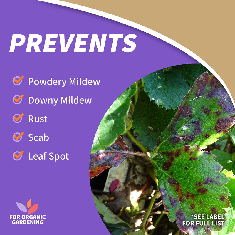 Bonide Captain Jack's Neem Oil, 128 oz Ready-to-Use, Multi-Purpose Fungicide,